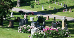 Hall Funeral Home And Crematory